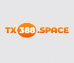 tx388space