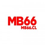 MB66